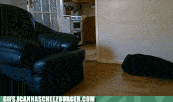 ZHo6cLsjN0ajmYUXCu80AQ2.gif