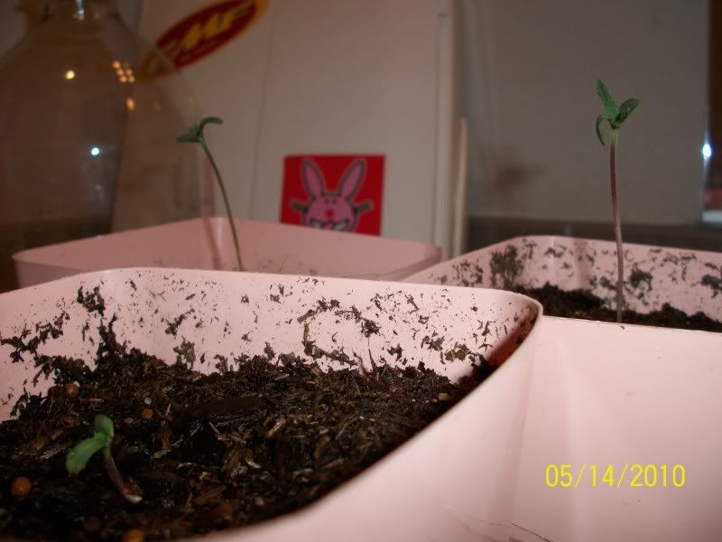 100_0718.jpg