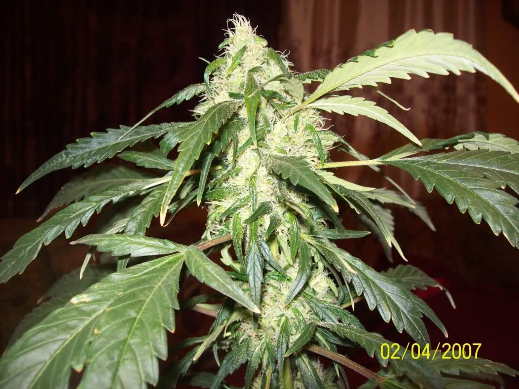 100_7993.jpg