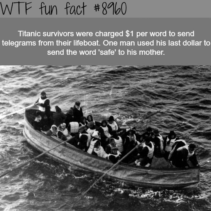 fun_facts_15.jpg