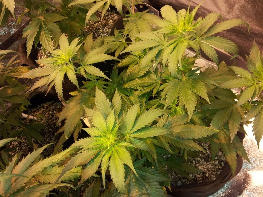 20111223_023915.jpg