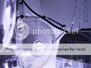 PICT0223.jpg