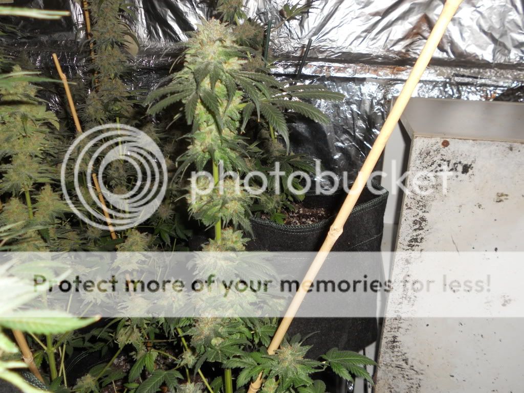 DSCN5828.jpg