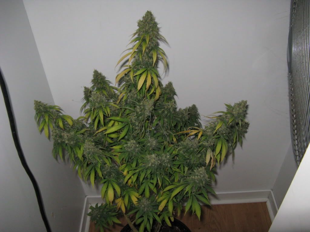 Photo-3.jpg