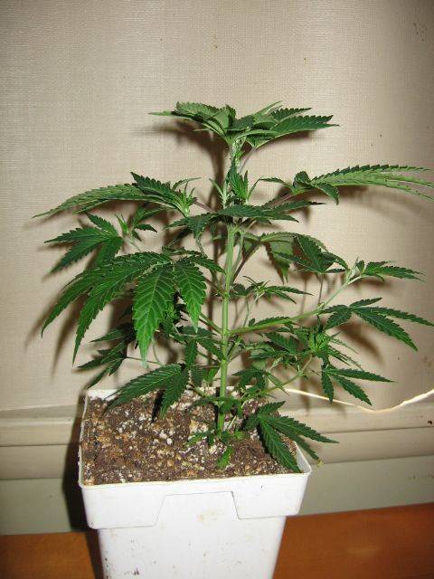 LST_00152.jpg