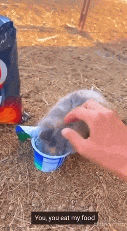 1683650903_25.gif