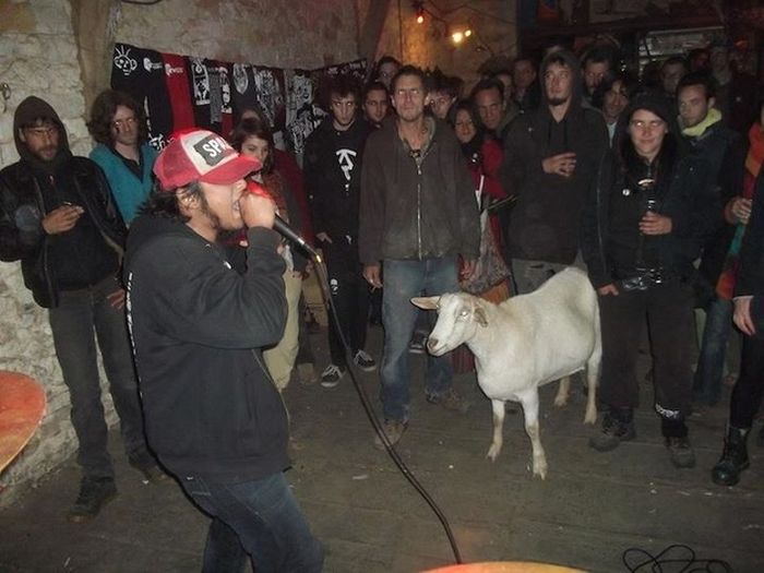 acid_picdump_123.jpg