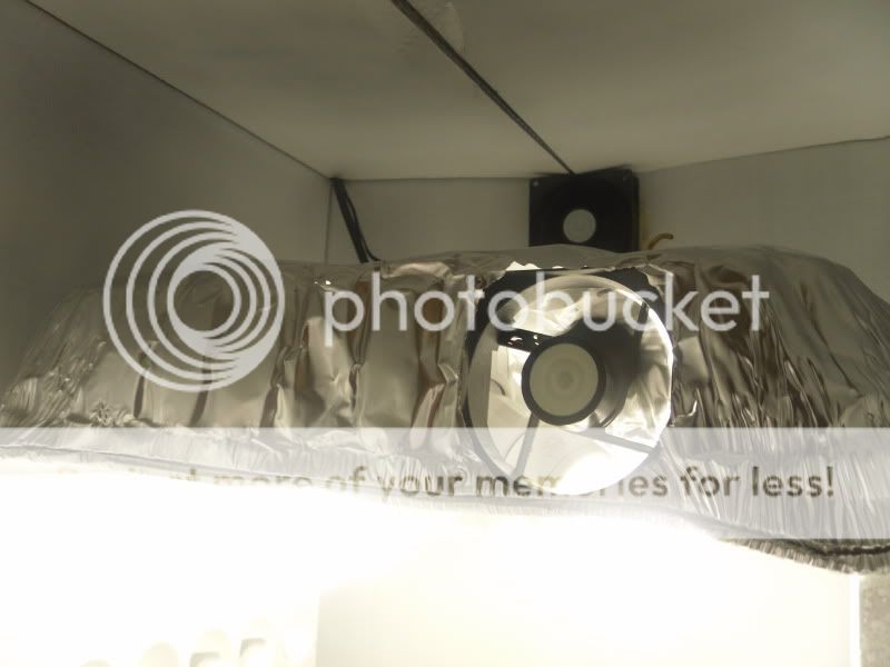 SDC10503.jpg