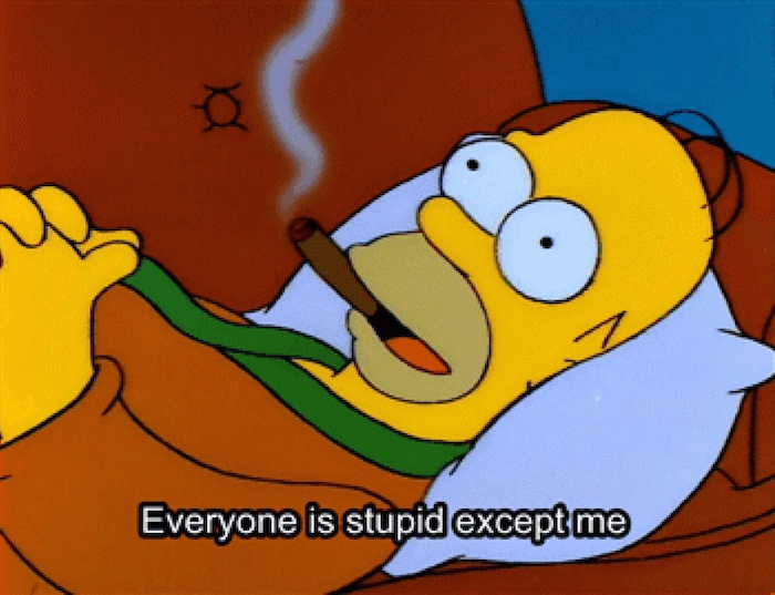 Everyone_Is_Stupid_Except_Me.jpg