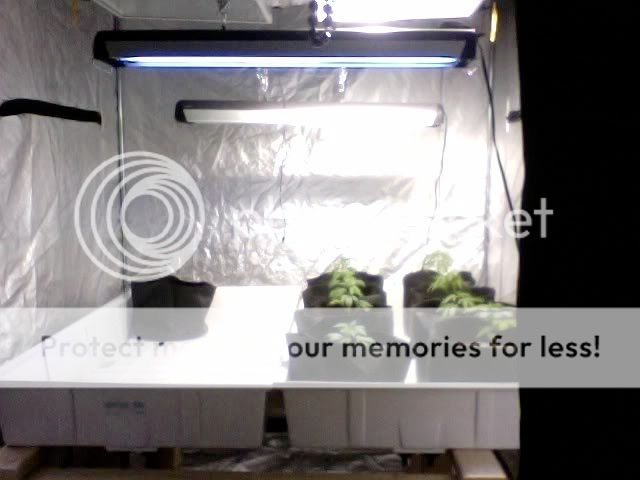 Photo41.jpg