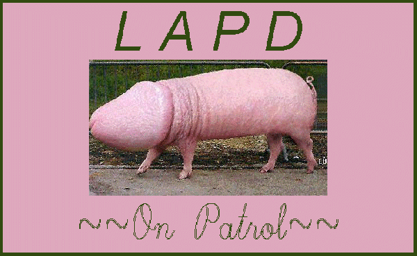 lapd__on_patrol.gif6sxvnm.gifmid.gif