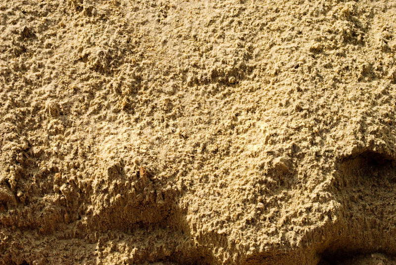 1986885-819398-texture-of-sand-after-rain-close-up.jpg