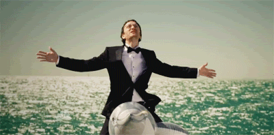 dolphins.gif