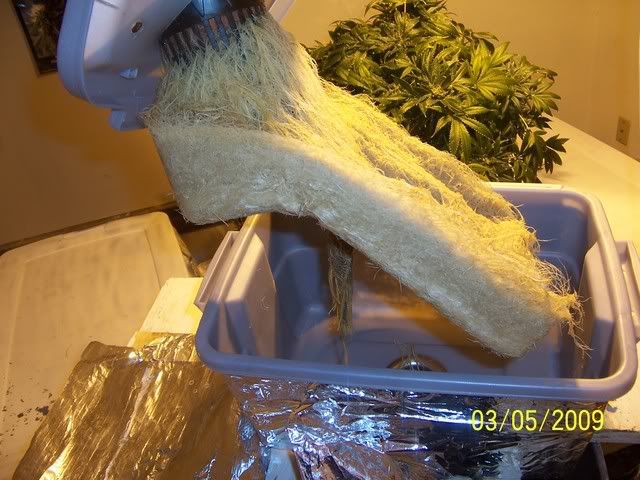 100_1474.jpg