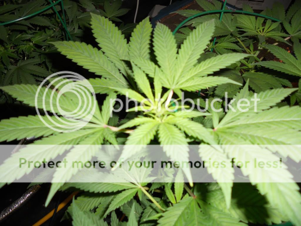 G13_Day17f_1.jpg