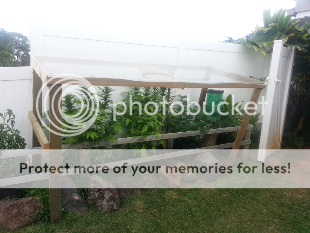 20130518_144302_zps93904fb5.jpg