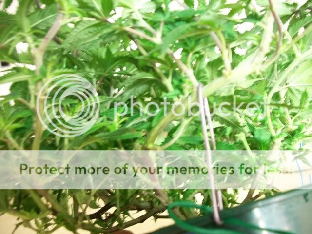 4-22-11013.jpg