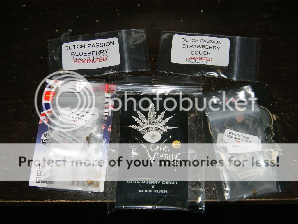 DSCN1301.jpg