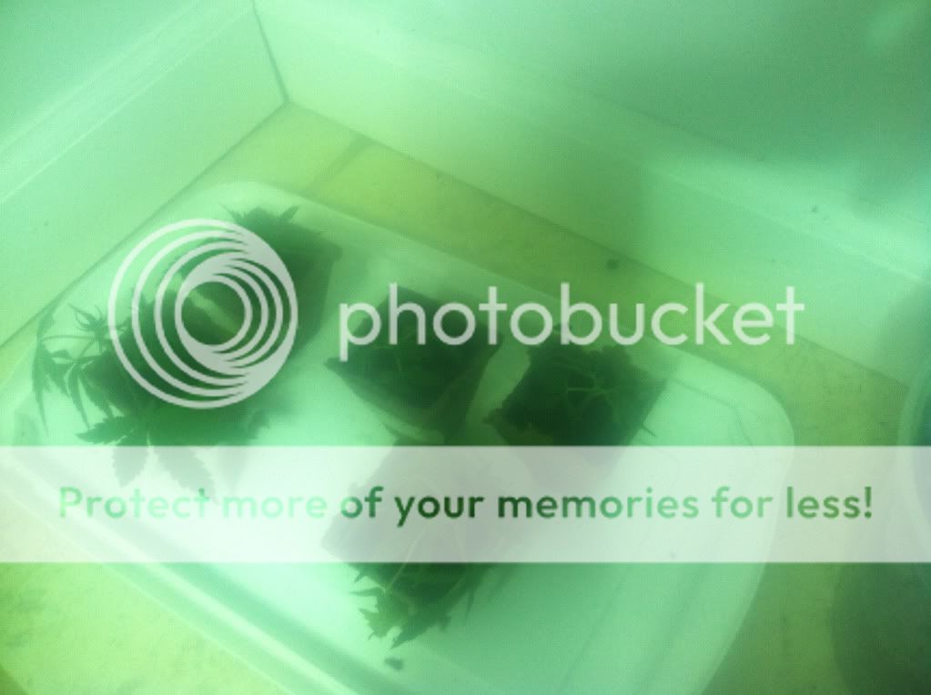 photo-10.jpg