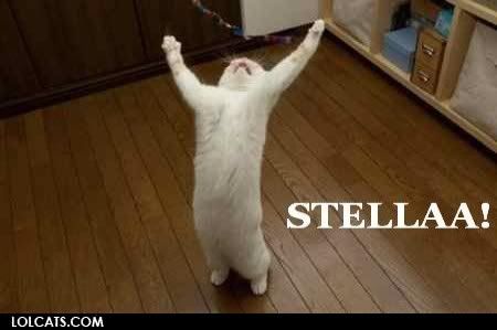 lolcatsdotcom7hzg22mpk49b8xff.jpg