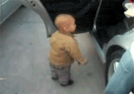 slide_305628_2630317_free.gif