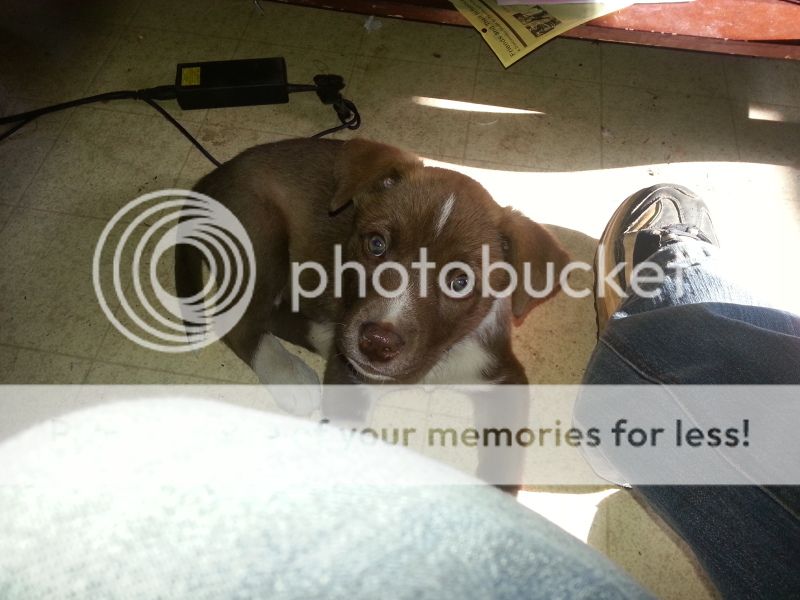 20121124_123934.jpg