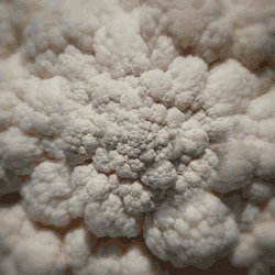 tumblr_n9708sXwyX1txeruoo1_250.gif