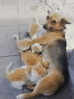 1674673152_13.gif