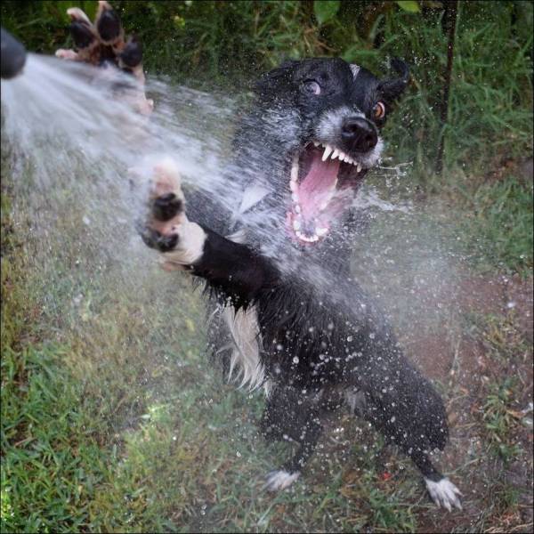 acid_picdump_72.jpg