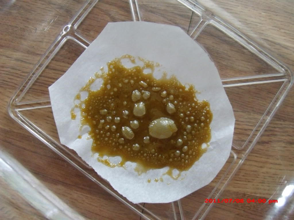 GEDC0993.jpg