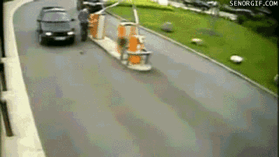 gifs_11.gif