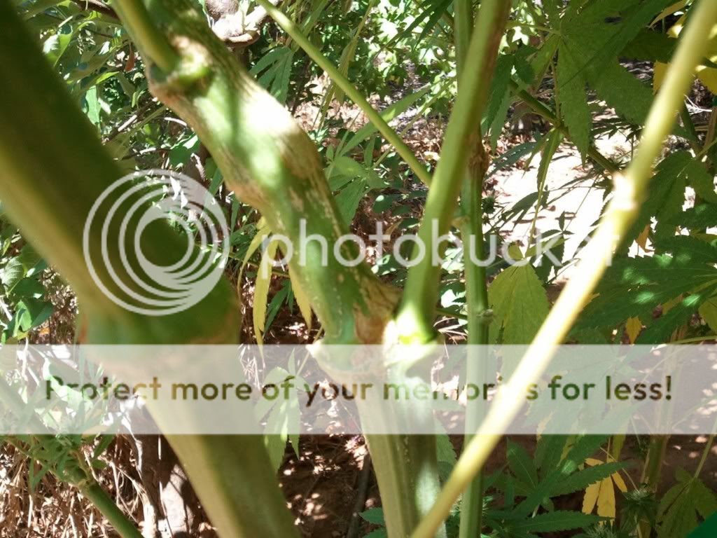 WP_000330.jpg