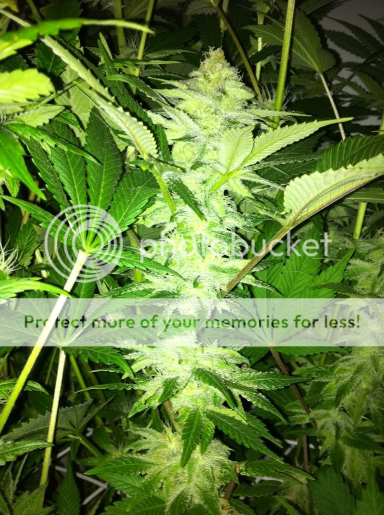 e0aeb266.jpg