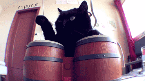 gifs_17.gif