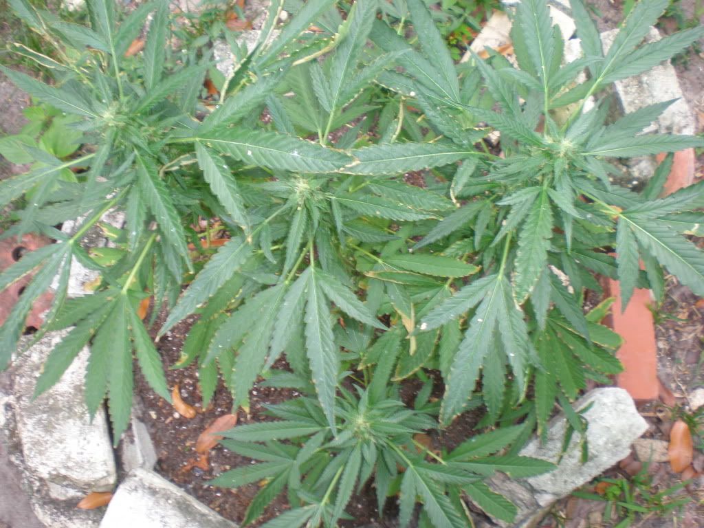 PB200016.jpg