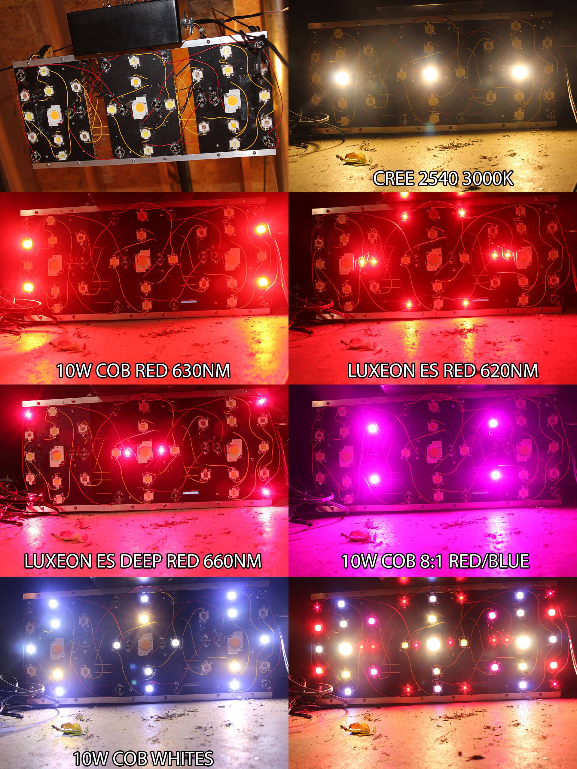 wGqRb0X.jpg