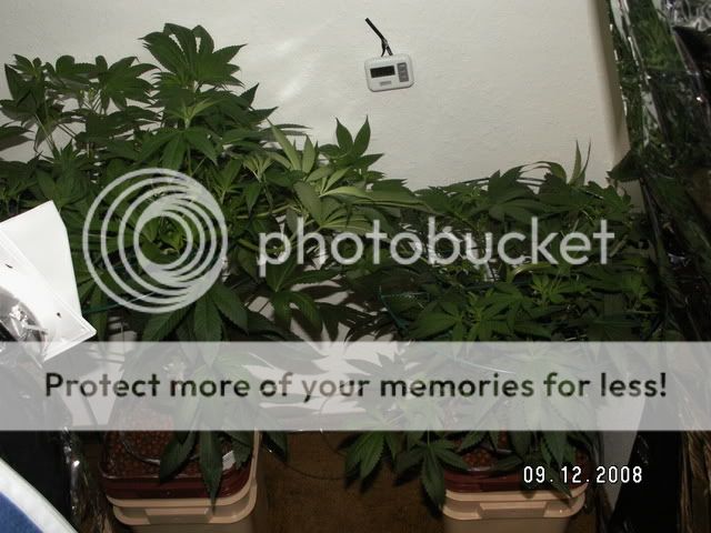 PICT0418.jpg