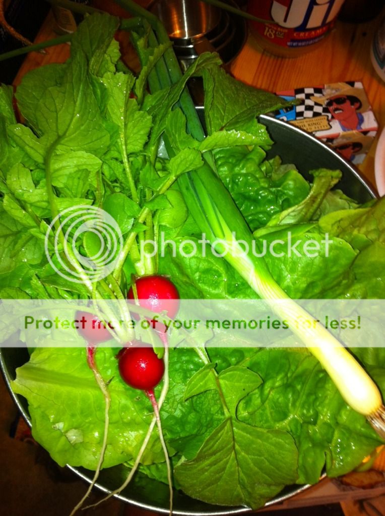 photo20.jpg