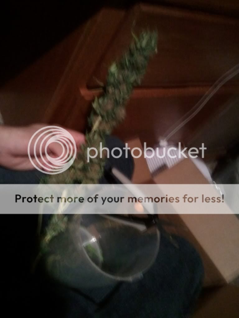 WP_000424.jpg