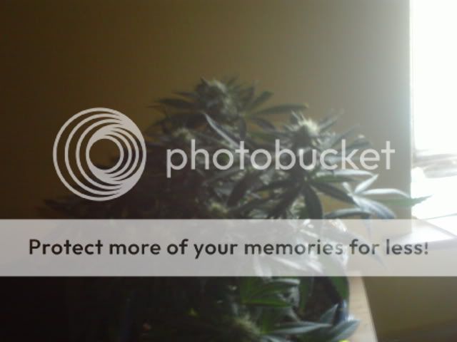 PICT0075.jpg