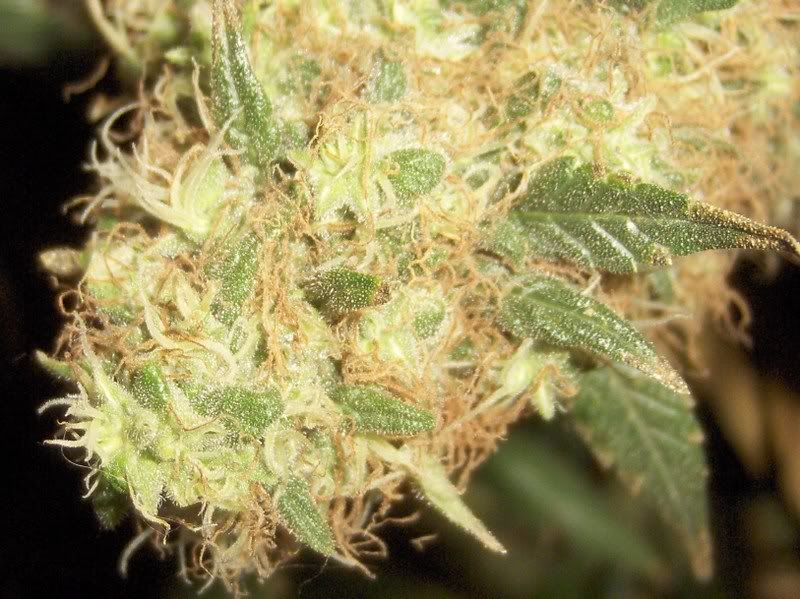 onedayb4flush016-1-1.jpg