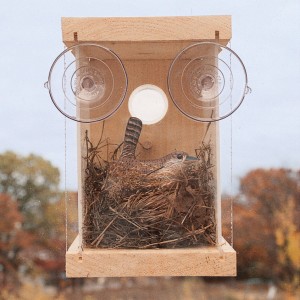 Nest-View-300x300.jpg