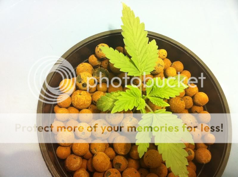 photo1-2.jpg