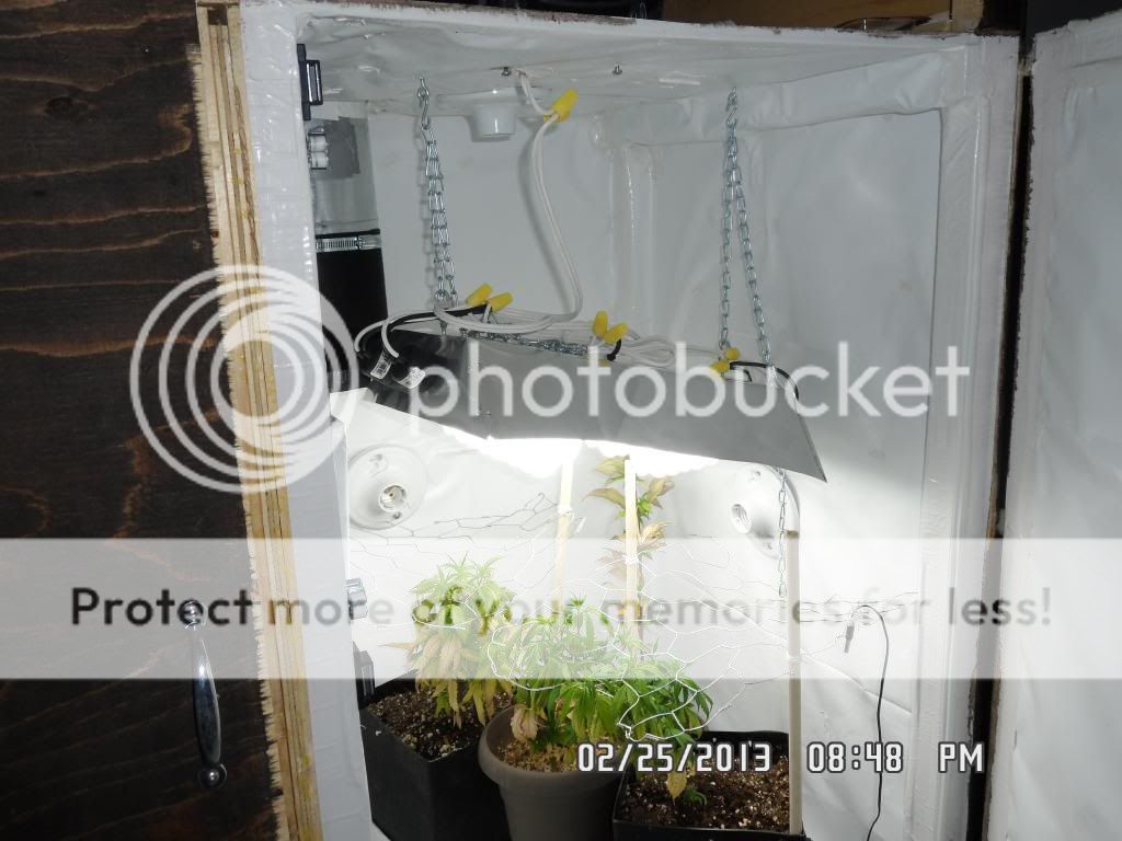 SAM_0691_zps7a02d6d0.jpg
