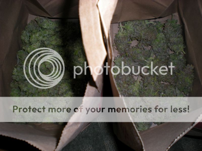 DSCN3078800x600.jpg