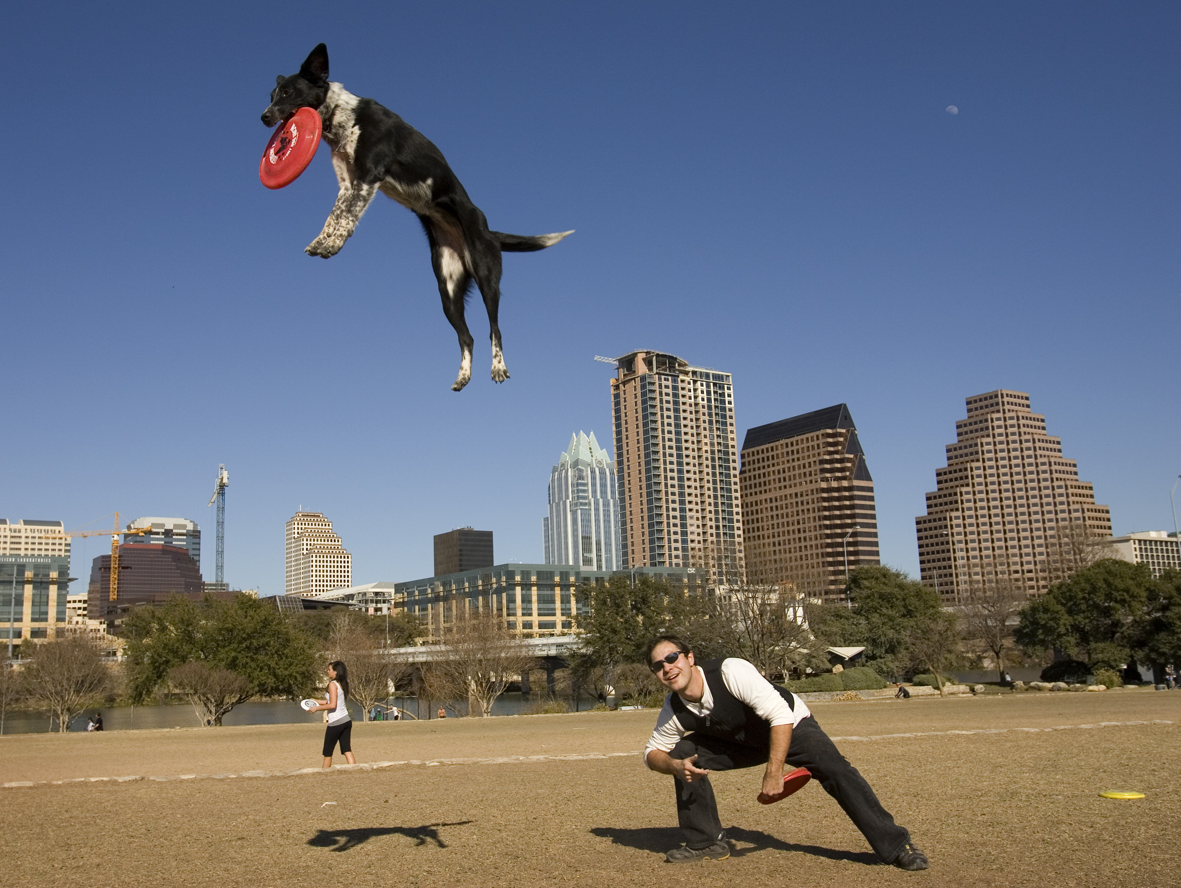 jwj-dogs-139.jpg