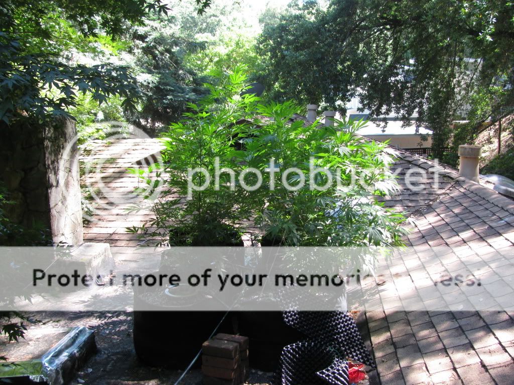 IMG_1773.jpg
