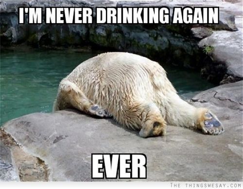 dfdc415f90b72ab5e647167f3f0f133d--polar-bears-mornings.jpg