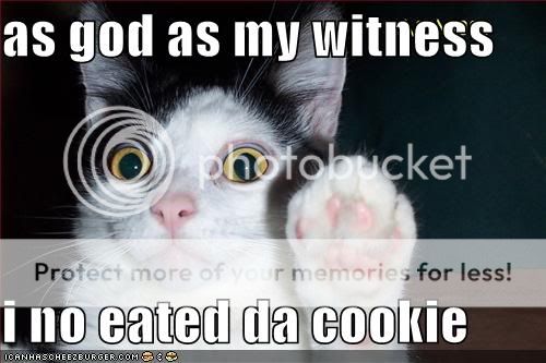 noeatcooke.jpg