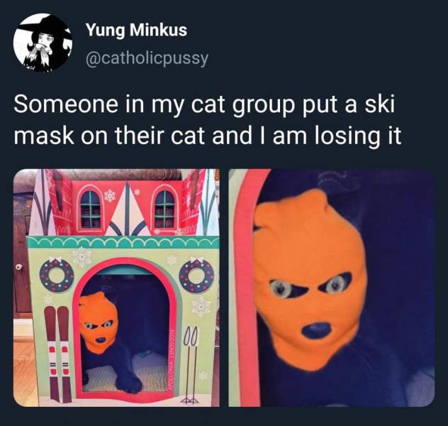 1574879341_jwt3naz6k3.jpg